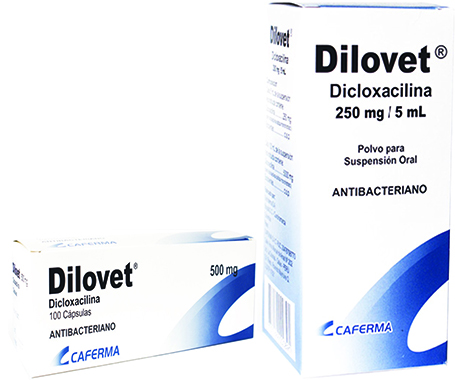 Dilovet